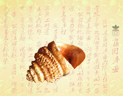 �����̻Ҹ�