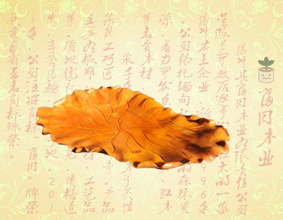 ��Ҷ����